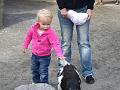 Kinderzoo Rappi, bei den Geisli_2